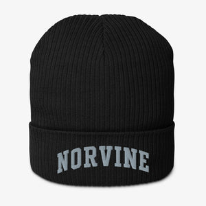 Organic Ribbed Beanie Accessoire - Norvine